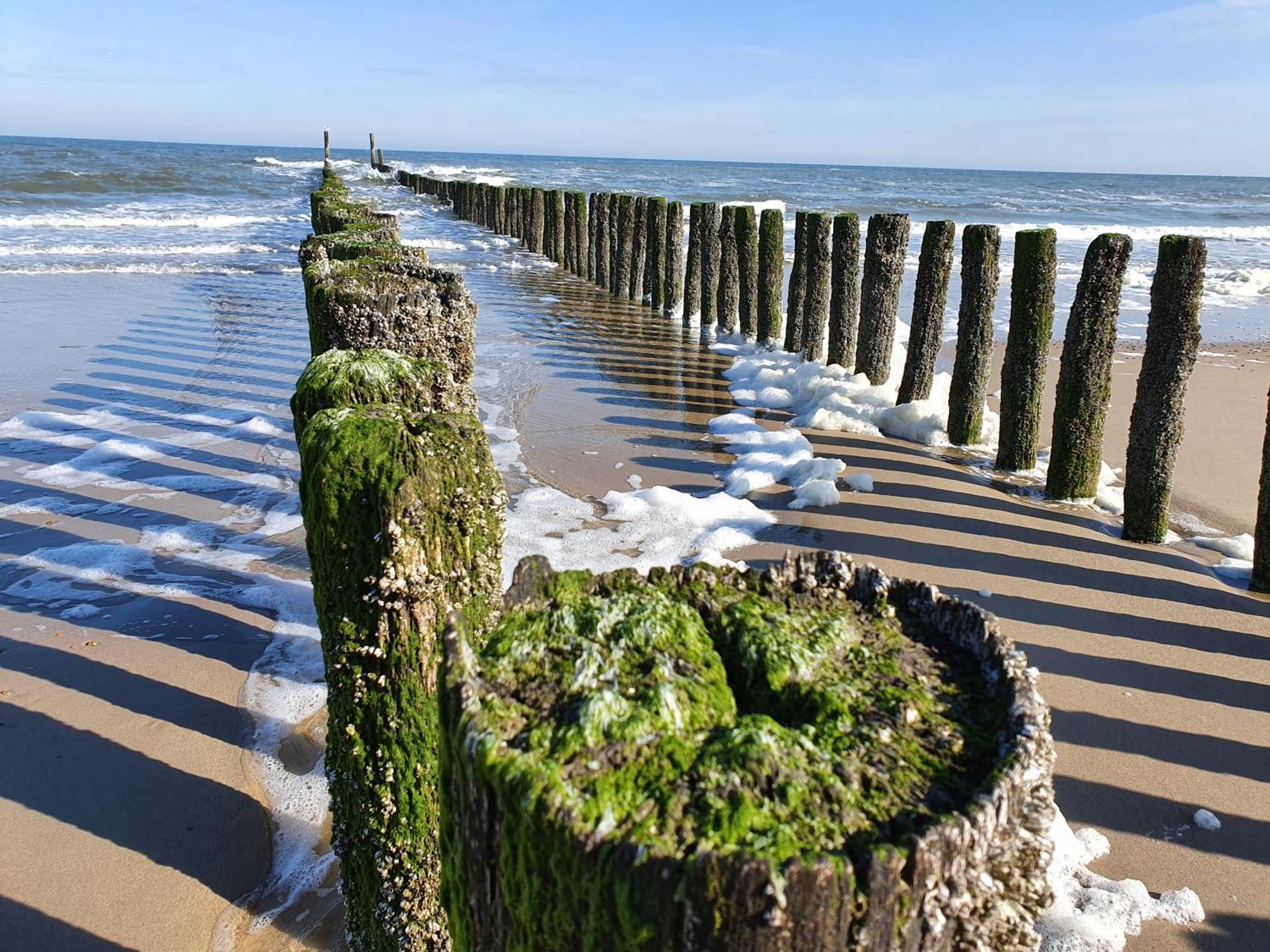 Studio Aan Zee Oostkapelle Oda fotoğraf