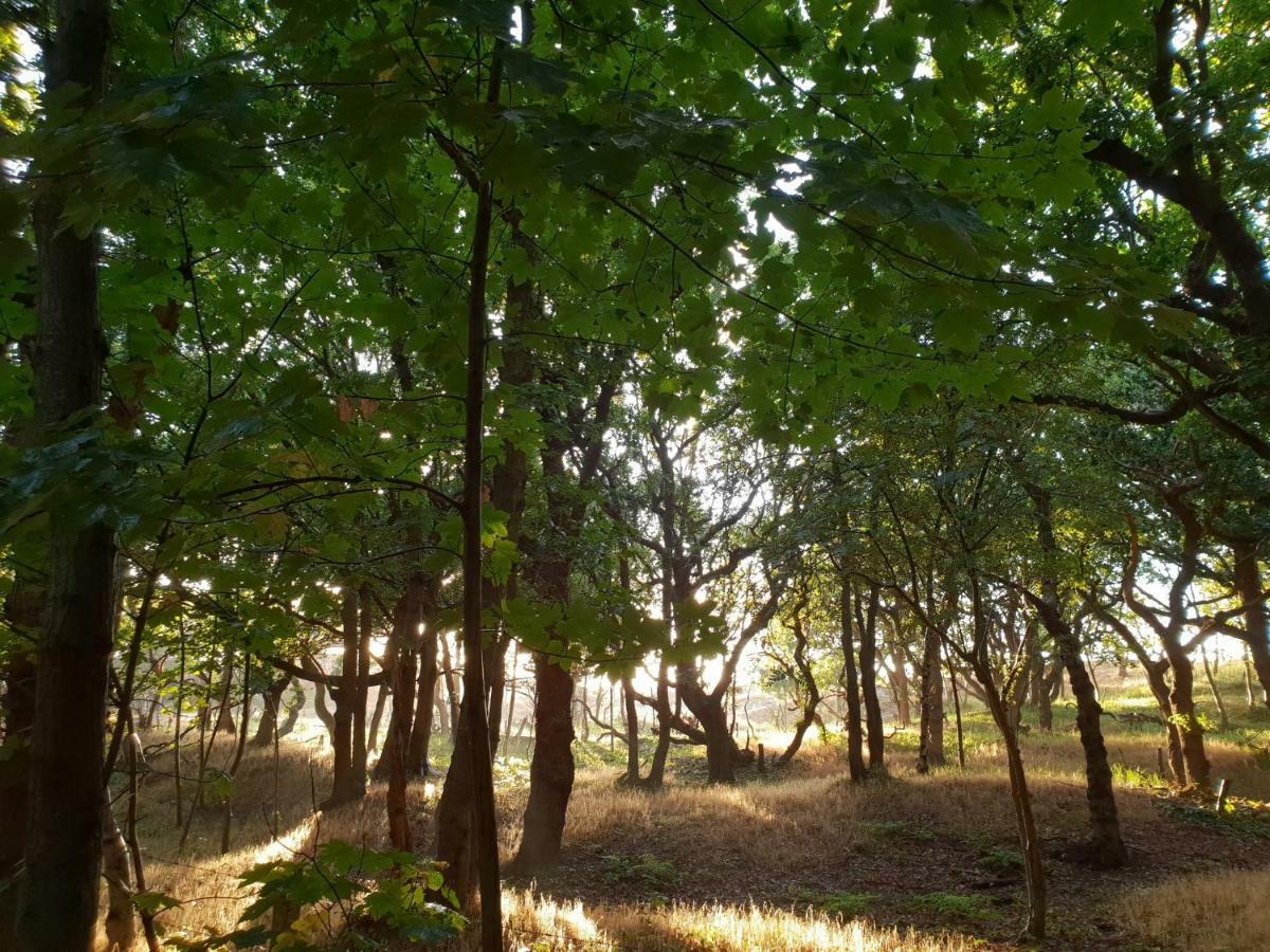 Studio Aan Zee Oostkapelle Dış mekan fotoğraf