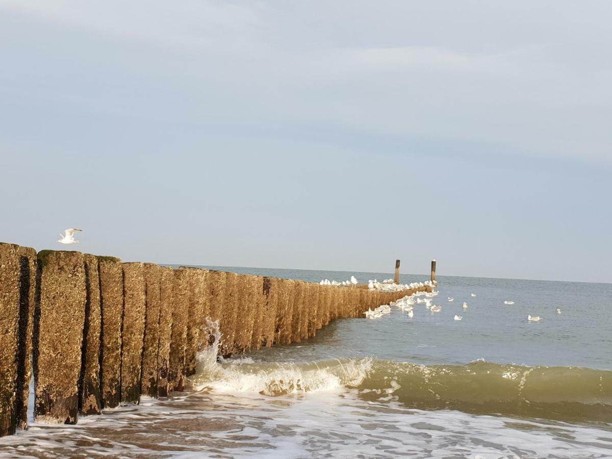 Studio Aan Zee Oostkapelle Dış mekan fotoğraf